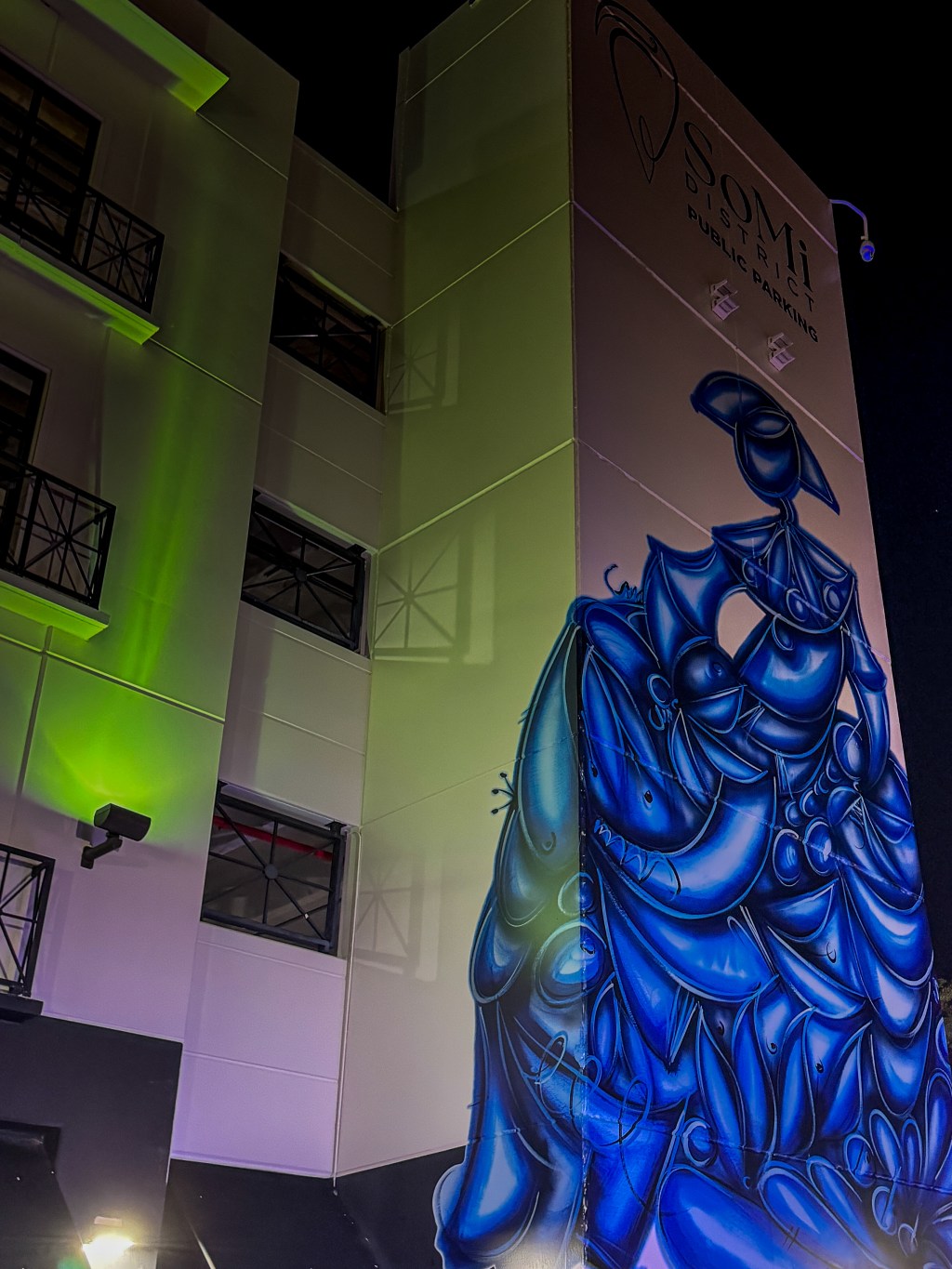 The exciting art of Alex Mijares was unveiled as the first of a series of projects being painted in South&nbsp;Miami