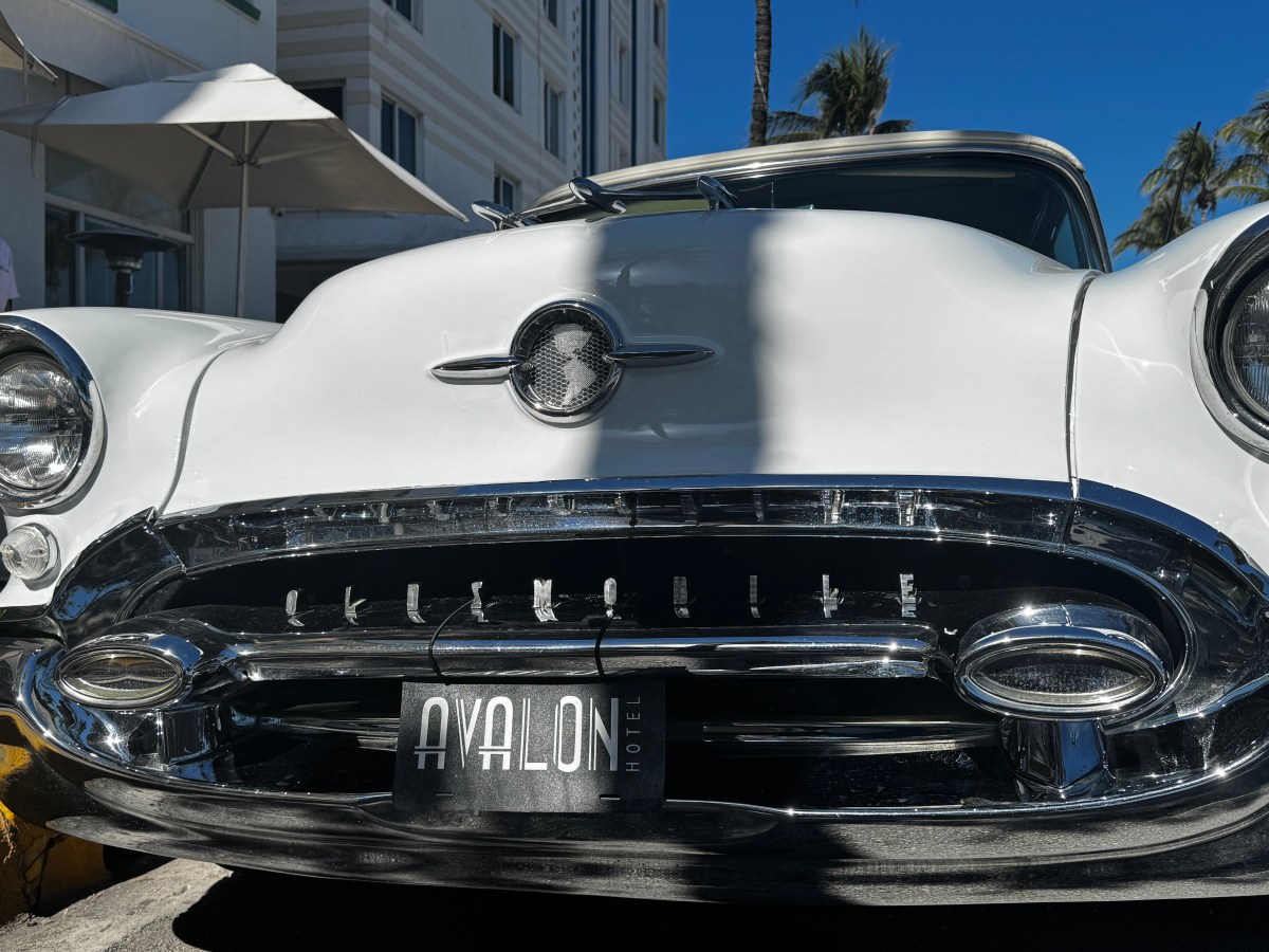 LifeTime 305 Half Marathon: A Celebration of Community and&nbsp;Athletics